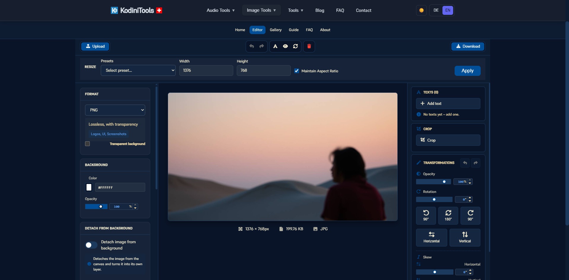 Screenshot of the KodiniTools Image Converter with a loaded image, PNG format, and size/background settings